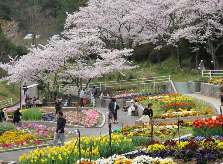 Wakayama Prefecture Botanical Park Ryokka Center, Japan